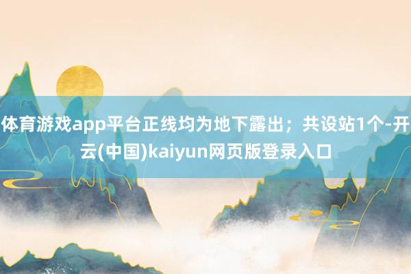 体育游戏app平台正线均为地下露出;共设站1个-开云(中国)kaiyun网页版登录入口