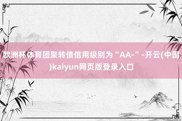 欧洲杯体育团聚转债信用级别为“AA-”-开云(中国)kaiyun网页版登录入口