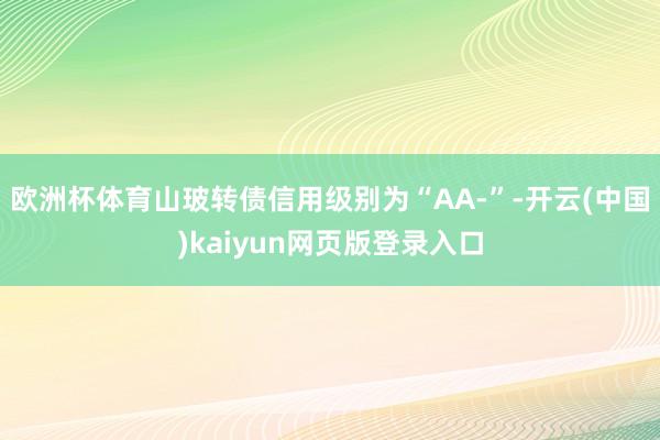 欧洲杯体育山玻转债信用级别为“AA-”-开云(中国)kaiyun网页版登录入口