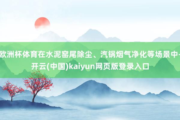 欧洲杯体育在水泥窑尾除尘、汽锅烟气净化等场景中-开云(中国)kaiyun网页版登录入口